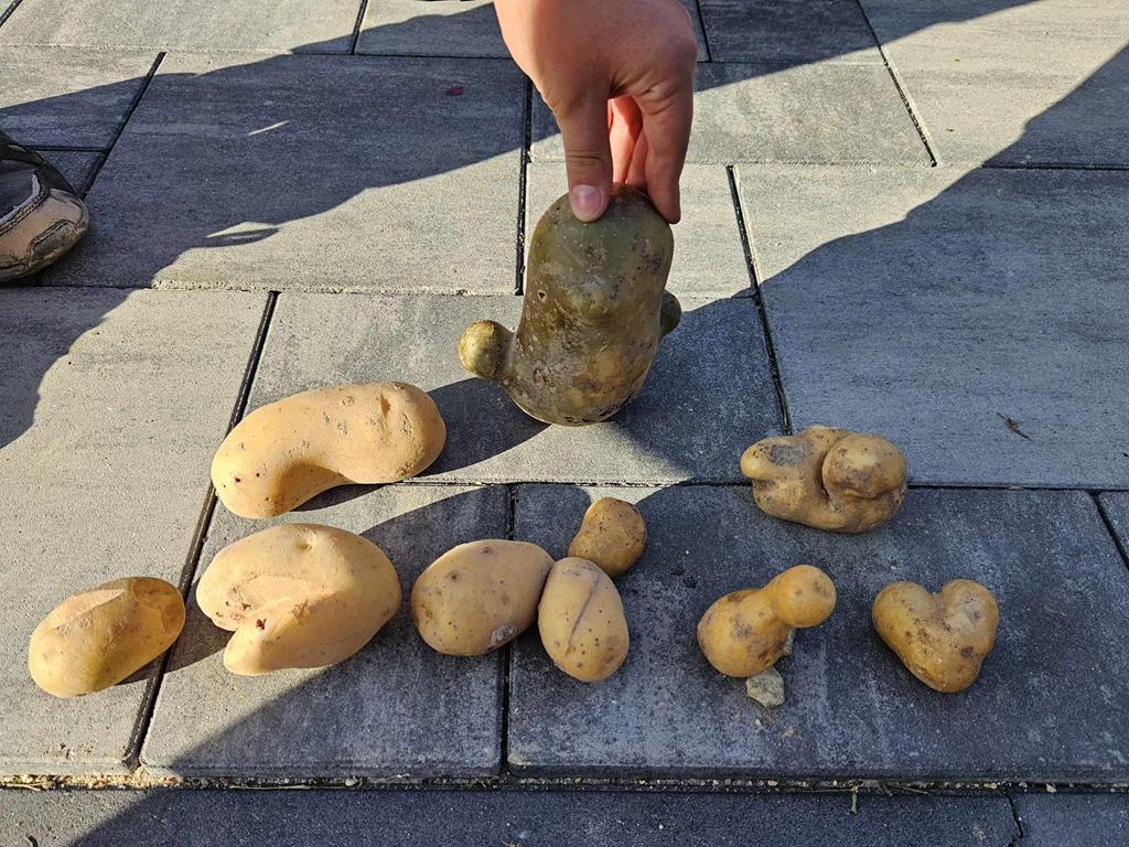 .....